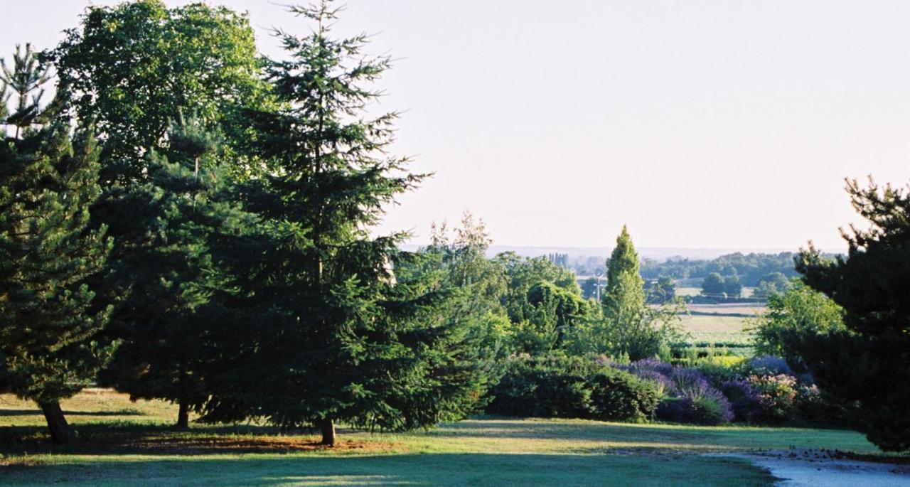 Bed and Breakfast Le Logis Du Pressoir Chambre D'Hotes Bed & Breakfast In Beautiful 18Th Century Estate In The Heart Of The Loire Valley With Heated Pool And Extensive Grounds Les Bois-d'Anjou Экстерьер фото